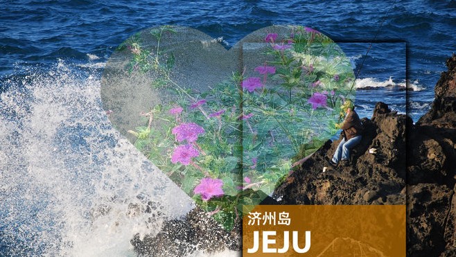 2024年韩国济州岛旅游中文地图攻略（电子版）自由行景点旅行指南