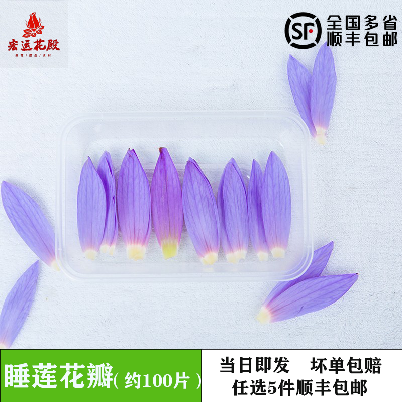 新鲜睡莲花瓣 紫色莲花 可食用花 荷花约100片 西餐酒店摆盘装饰