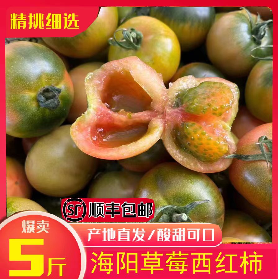 顺丰海阳草莓西红柿小番茄酸甜铁皮新鲜黄筋有机种植番茄包邮整箱