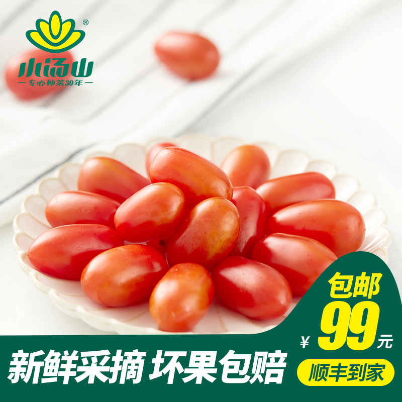 【小汤山】玲珑番茄 约350g 新鲜蔬菜基地种植当天采摘99元包顺丰