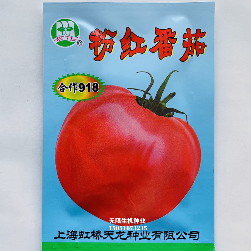 粉红番茄合作918大果西红柿种子农家春季播南方种植大田基地蔬菜