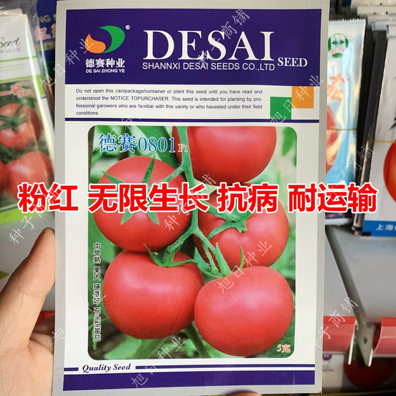 德赛0801粉红大果番茄种子 抗病高产果型高圆春夏基地种植蔬菜籽