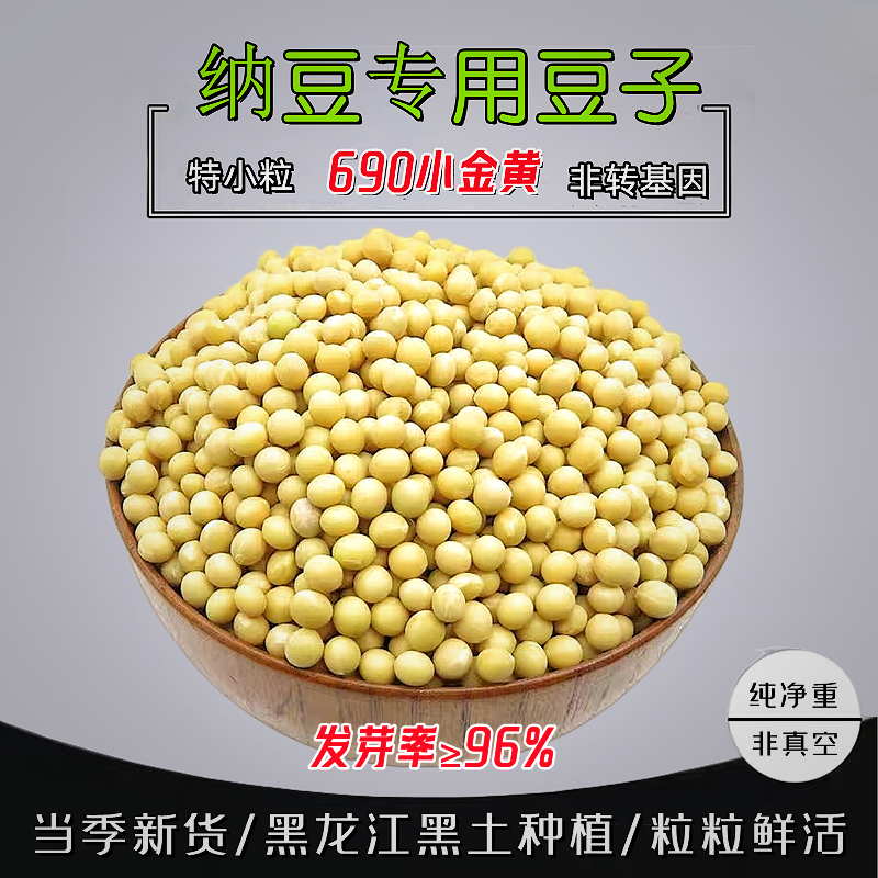 纳豆专用黄豆极小粒690小黄豆非转基因农家自种生发豆芽豆小金黄
