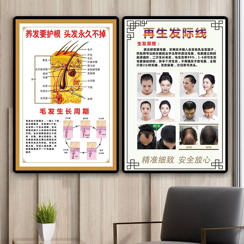 头皮检测对比图片养发馆头疗装饰宣传画植物养发护法生发广告海报