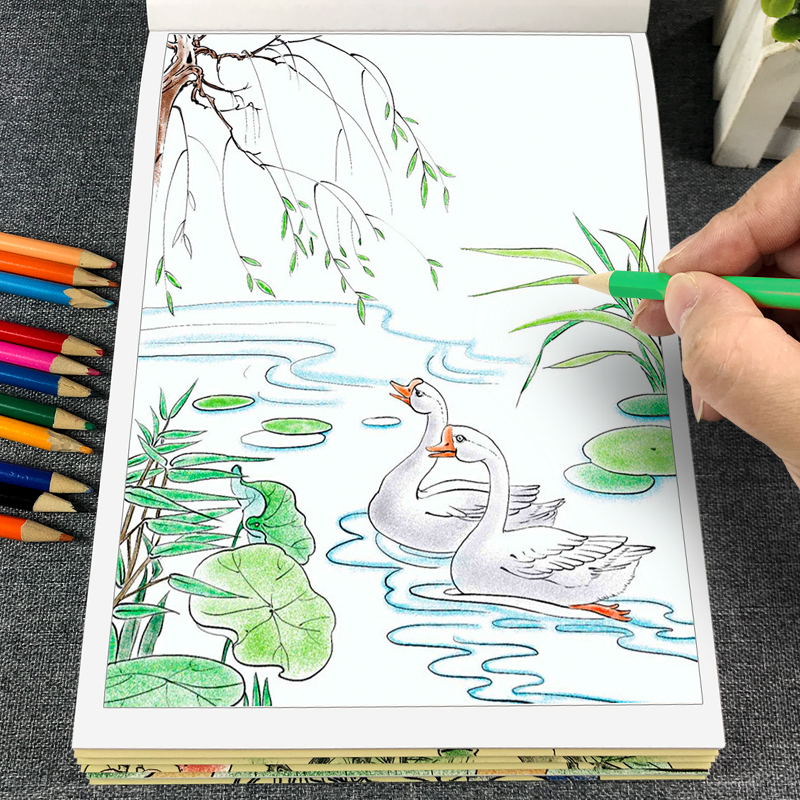 儿童线描临摹画册中国画白描本涂色画国画素描入门图册山水绘画本