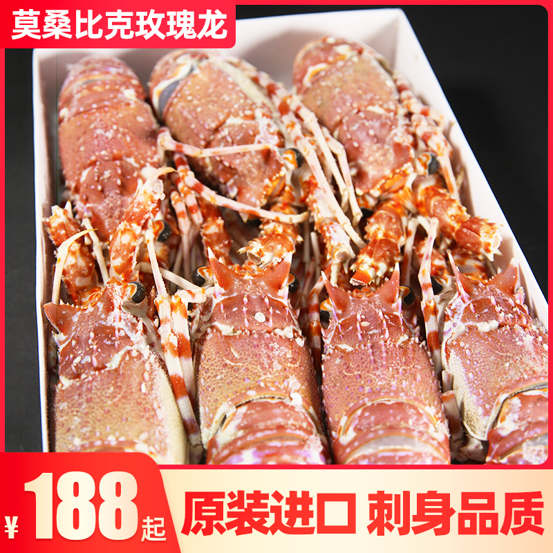莫桑比克玫瑰龙 可生食1.5kg/盒 日料刺身冷冻海鲜非大红龙虾鳌虾