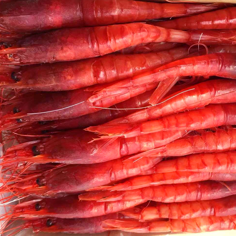 深海胭脂虾 野生国产红魔虾绯红虾刺身 日本料理刺身虾红贡虾大虾