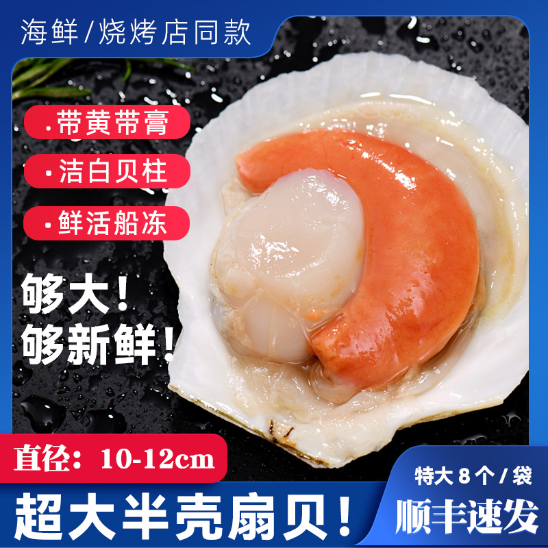 扇贝鲜活冷冻特大半壳海鲜烧烤食材蒜蓉粉丝商用新鲜带壳虾夷扇贝