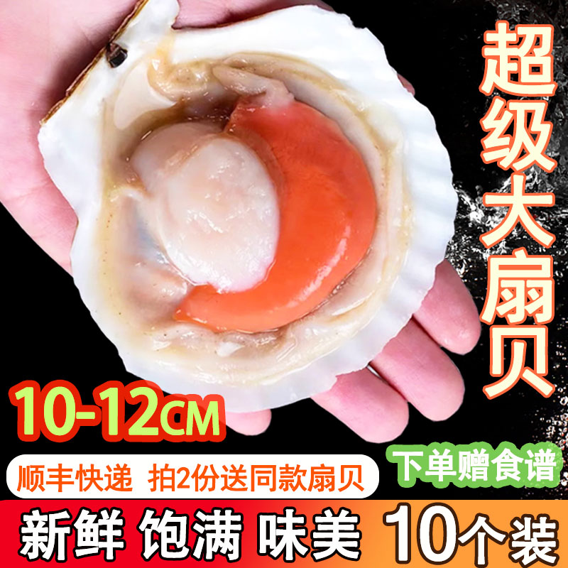 扇贝鲜活特大半壳商用冷冻新鲜蒜蓉粉丝烧烤10粒海鲜带壳虾夷扇贝