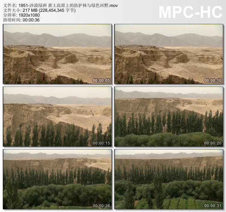 沙漠绿洲黄土高原上的防护林与绿色田野 实拍视频素材