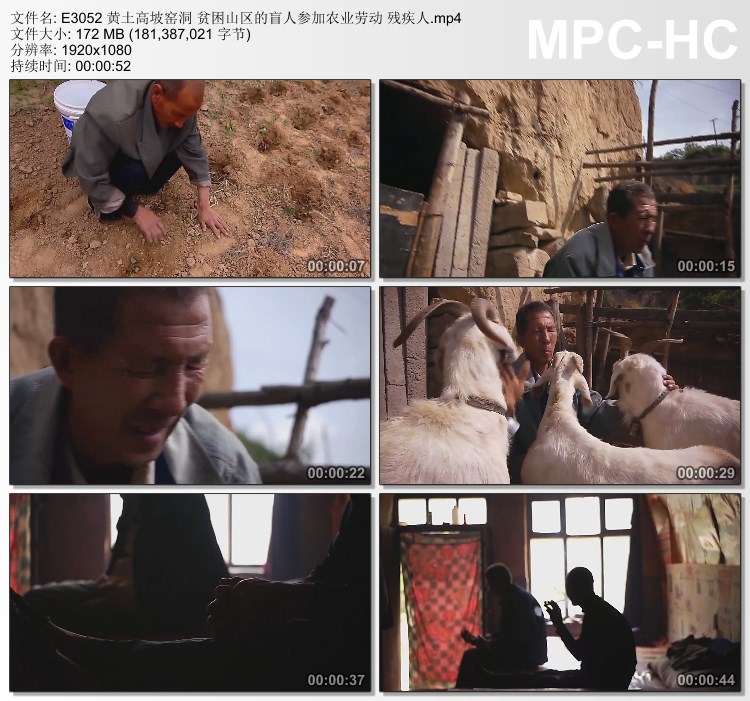 黄土高坡窑洞贫困山区盲人 参加农业劳动残疾人 高清实拍视频素材
