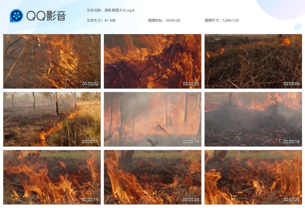 森林草原火灾护林防火消防安全教育宣传警示演讲视频素材