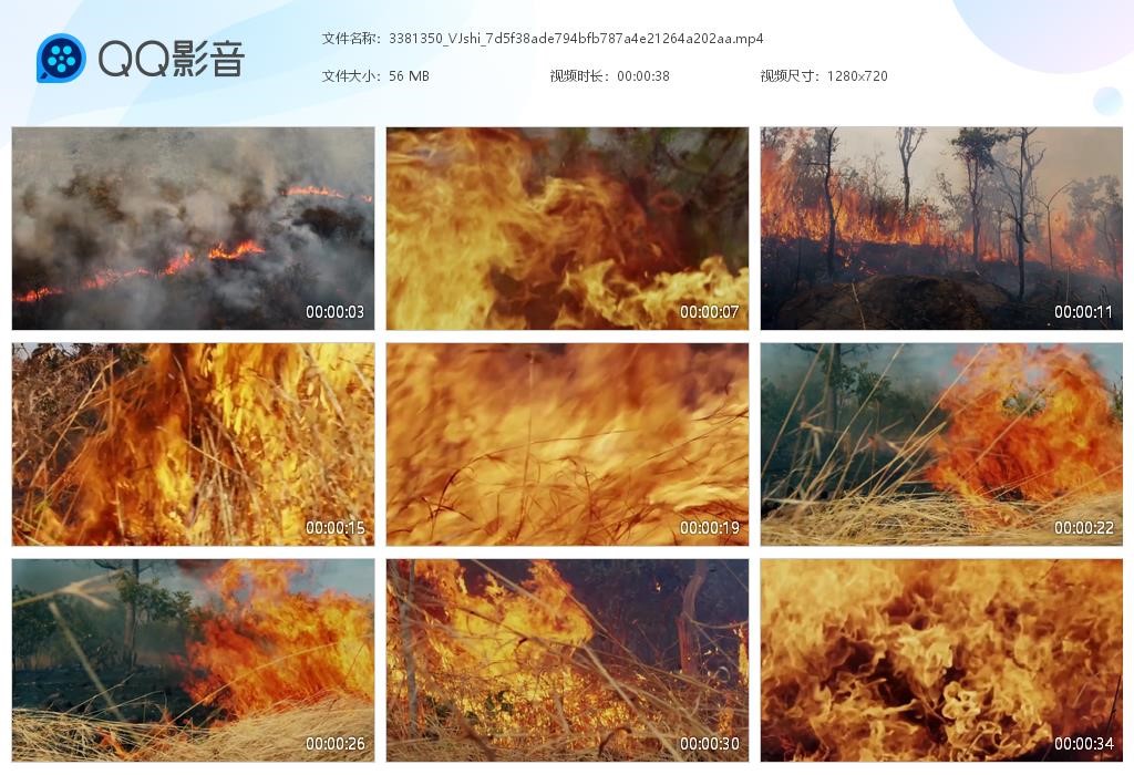 草原森林火灾视频护林防火119消防日安全宣传演讲视频素材
