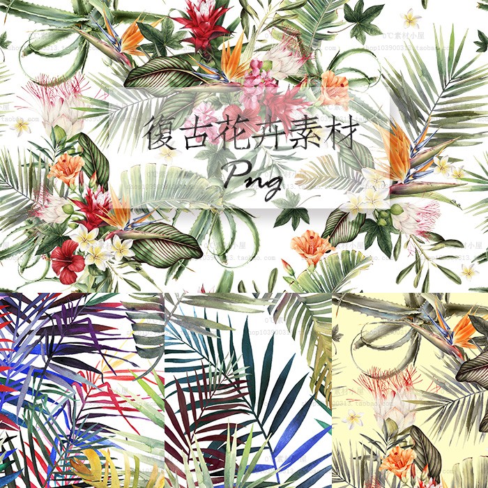 复古植物PNG免抠芭蕉叶树叶热带植物JPG背景底纹设计素材[PS4241]