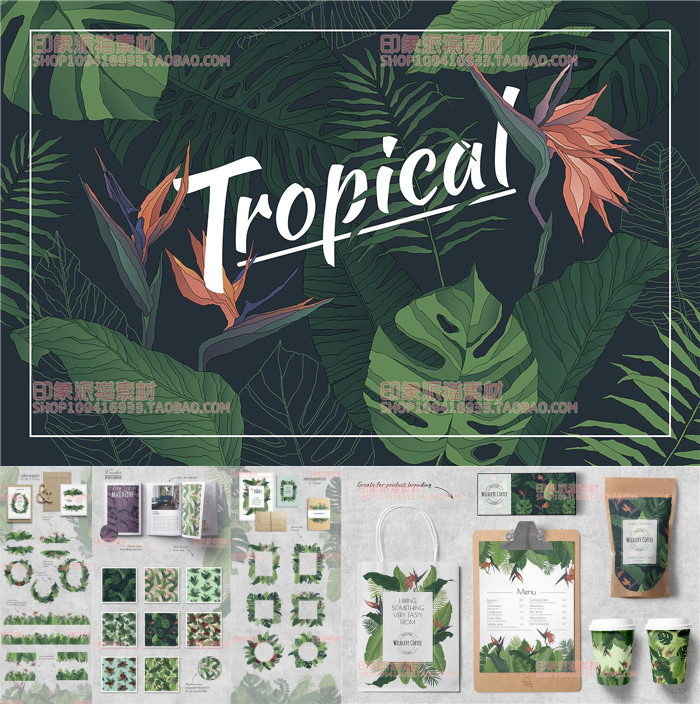 A0640矢量AI设计素材热带植物树叶边框背景印花logo边框底纹含PNG