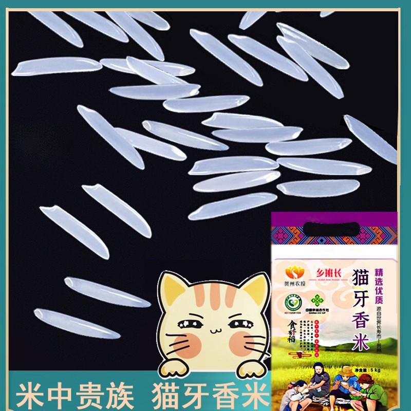 广西大米2023年新米10斤猫牙香米新鲜长粒香米丝苗米超长生态农家