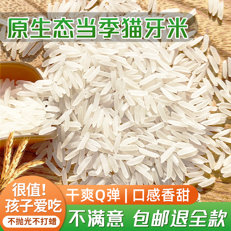 猫牙米长粒香米正宗广西丝苗大米特级现磨10斤50斤油粘米超长细米