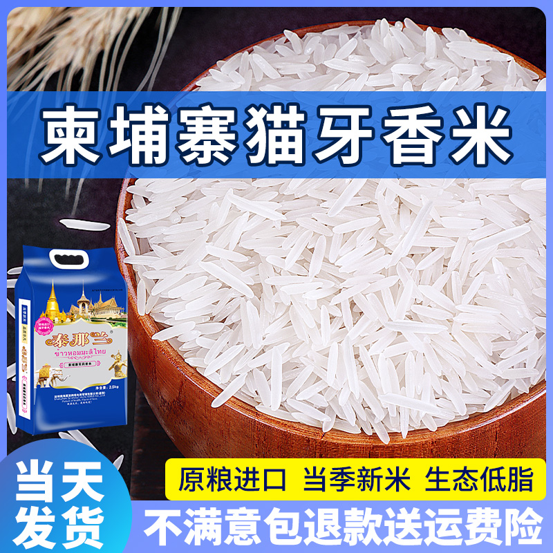 超长粒香猫牙大米2023年新米正宗柬埔寨茉莉香米丝苗米炒饭专用米