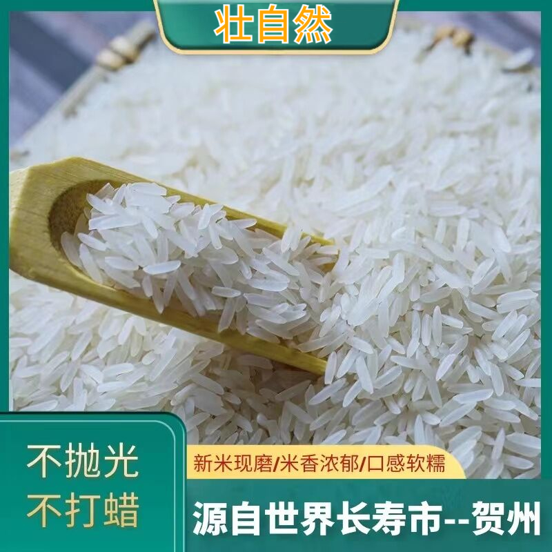 2023年晚稻新米当季超长粒香米软糯大米新鲜猫牙米丝苗米象牙细米