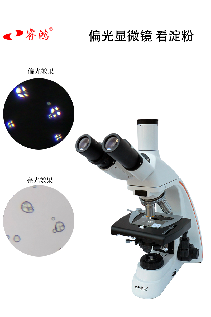 睿鸿偏光生物显微镜RH-2800看纤维晶体无限远平场物镜相差相衬