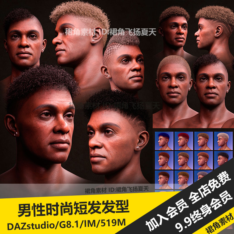 DAZ3D Studio 男性黑人时尚短发碎卷发头发发型模型 游戏3d素材