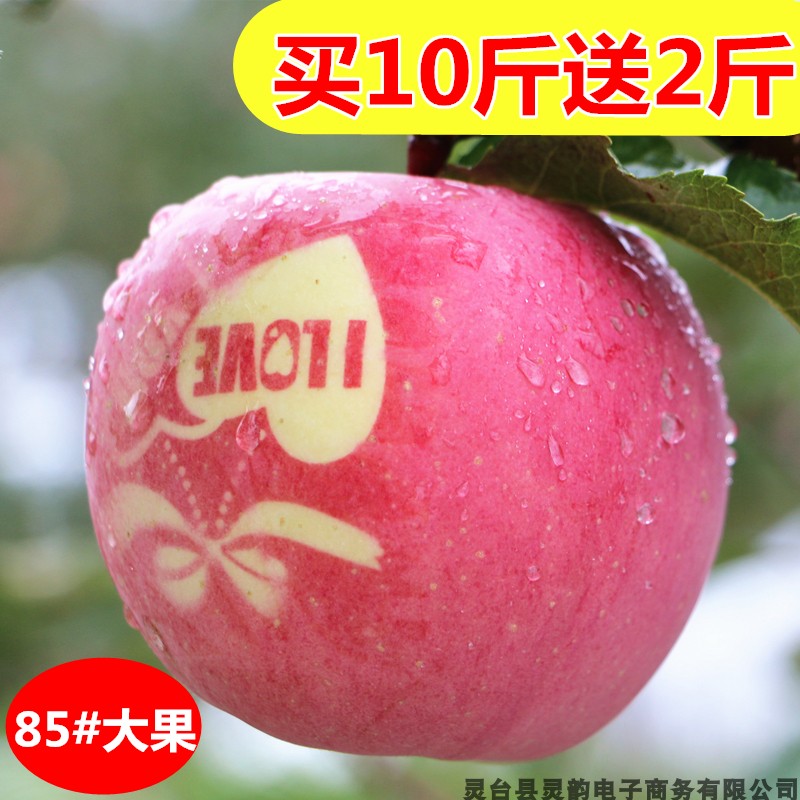 平凉灵台特甜脆苹果新鲜水果10斤甘肃静宁红富士全国整箱包邮