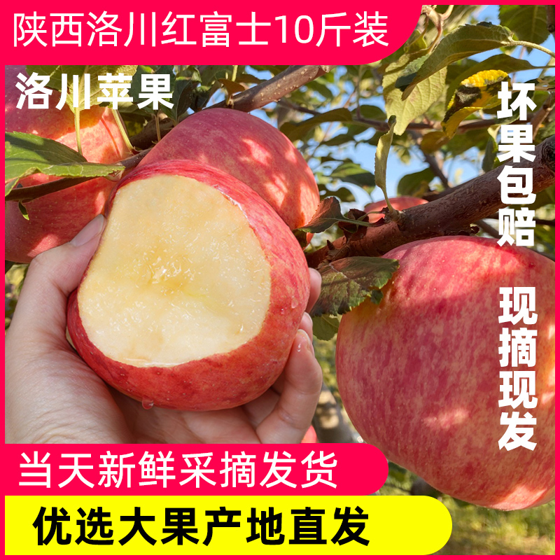 洛川红富士苹果9斤大果当季新鲜孕妇水果陕西延安酸甜适中脆苹果