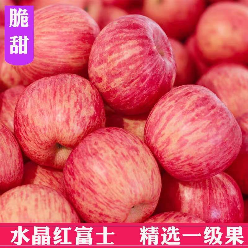 洛川农产品红富士苹果新鲜脆甜多汁不打蜡孕妇宝宝带皮吃全国包邮