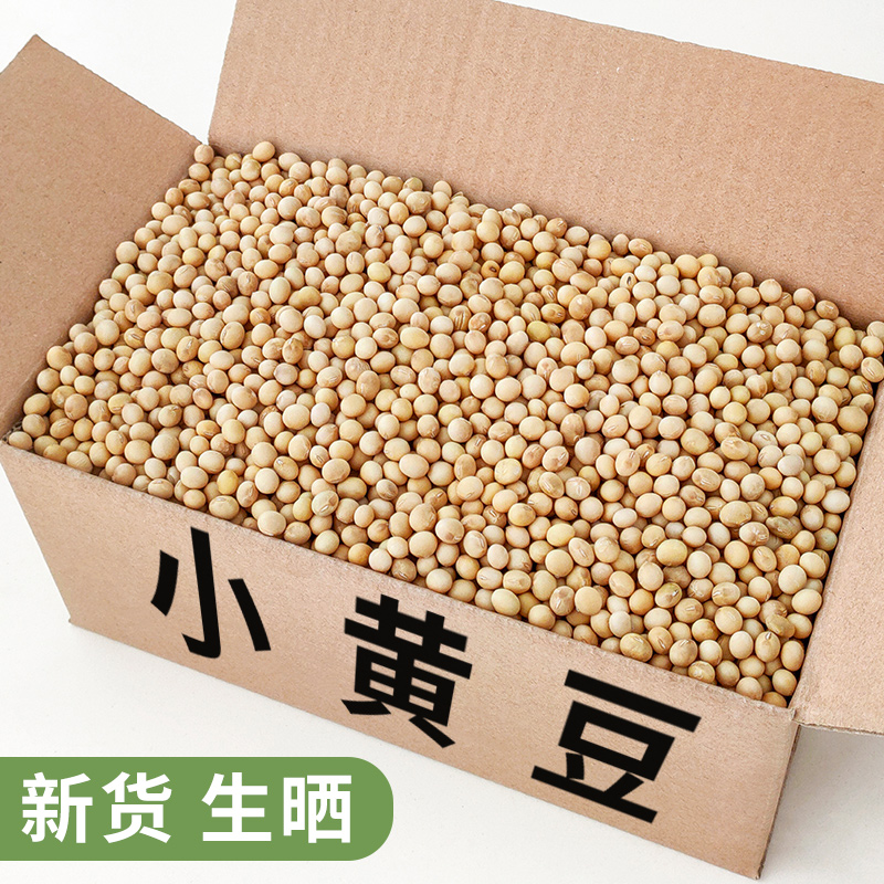 小黄豆打豆浆专用农家自种土大豆年货新货散装干货生发豆芽干豆子