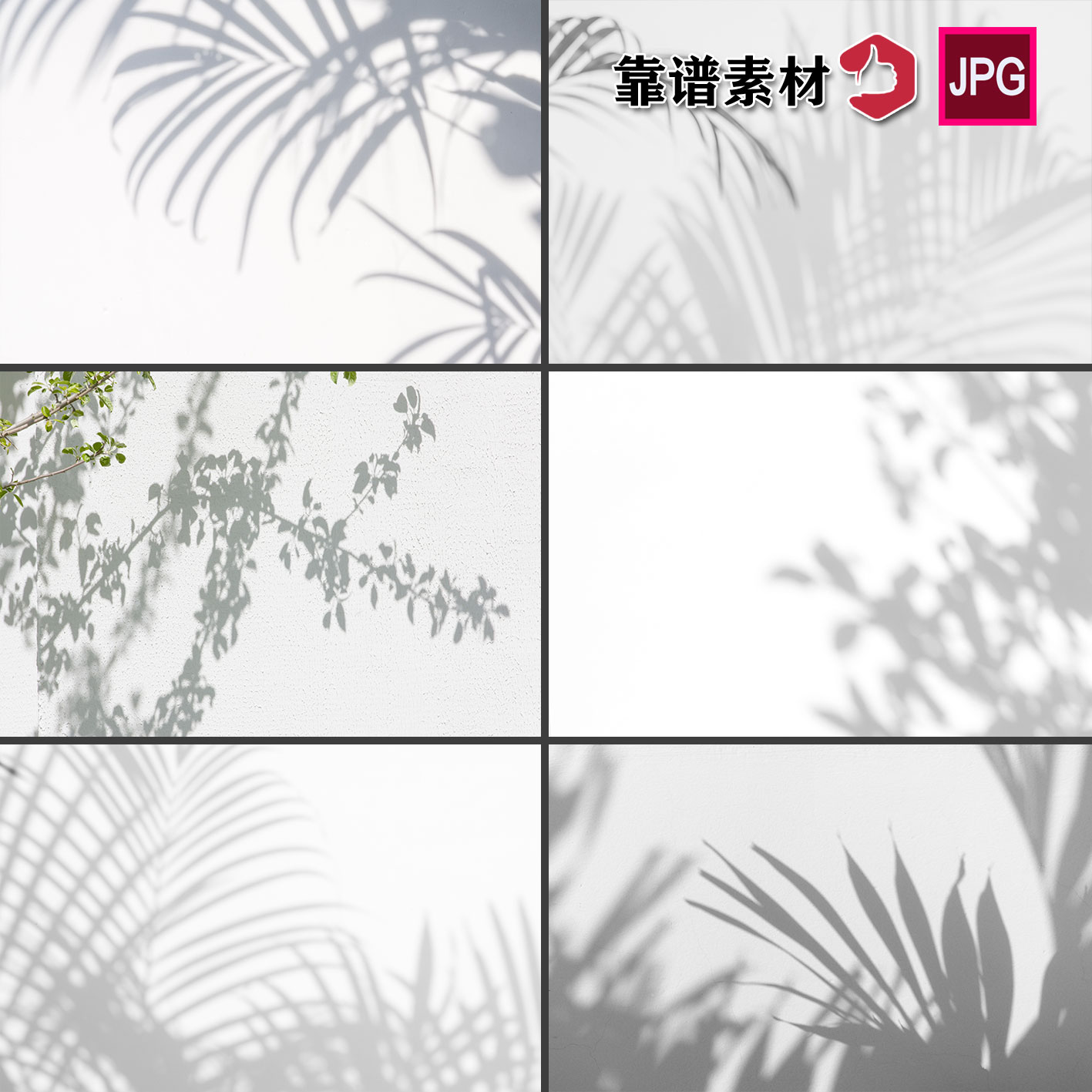热带植物棕榈树叶阴影投影影子光影背景灰色墙壁高清图片设计素材