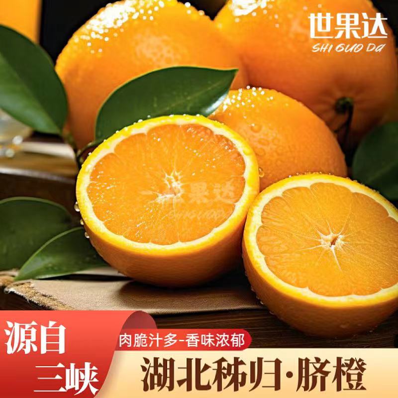 正宗湖北秭归脐橙九月红屈乡秋橙宜昌长江三峡特产新鲜水果整箱