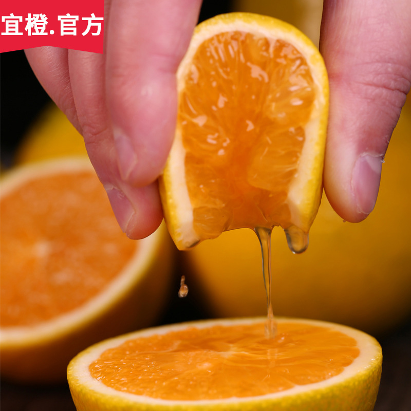 伦晚脐橙当季现摘10斤装5斤水果湖北秭归新鲜榨汁橙子宜昌伦晚橙