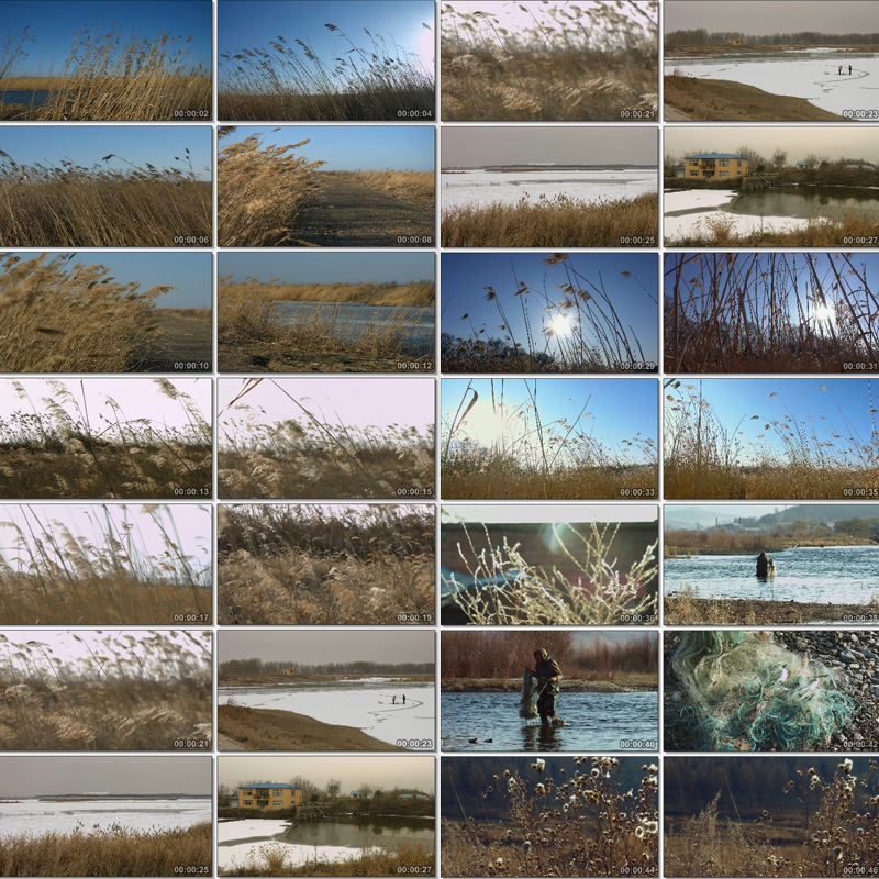 东北冬季蓝天芦苇塘冬天鱼塘打鱼干枯野草转场空境4K原创视频素材