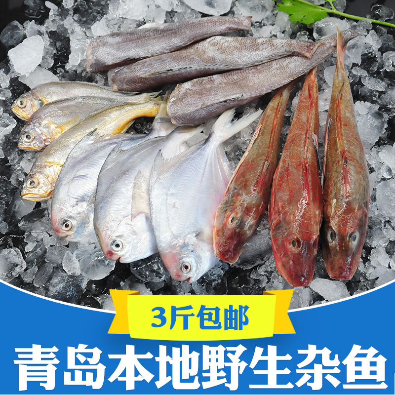 青岛海鲜野生杂鱼新鲜鲜活冷冻小黄鱼银鲳鱼鳘鱼红娘鱼海鱼拼盘