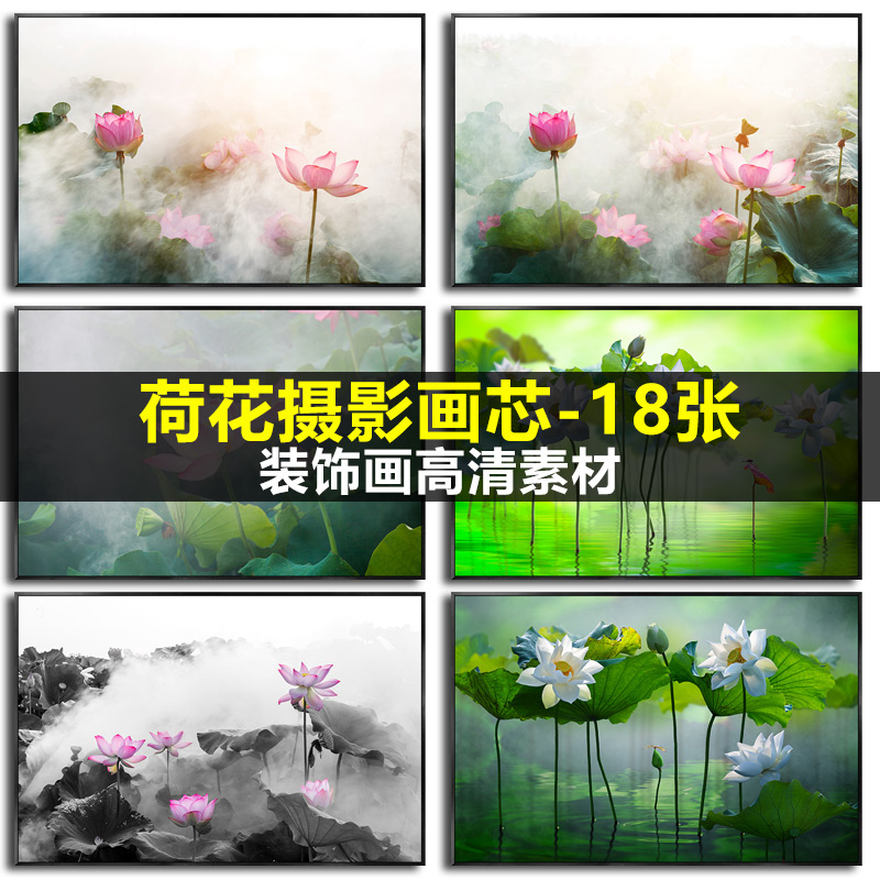中国风荷花荷叶莲花新中式水墨雾气摄影装饰画高清素材图库图片