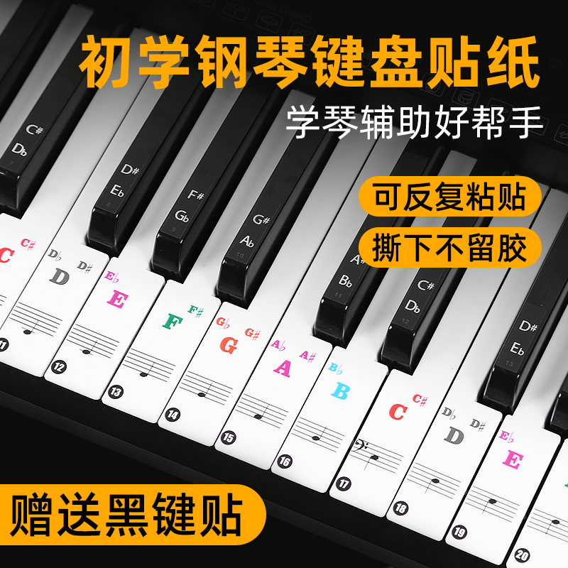钢琴键盘贴纸88键五线谱简谱音符标电子手卷钢琴自学入门通用贴纸