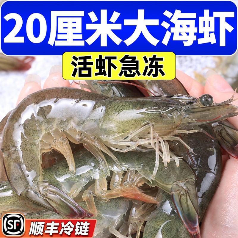 4斤装青岛大虾新鲜海虾对虾海鲜水产鲜活青虾超大基围虾冻虾白虾